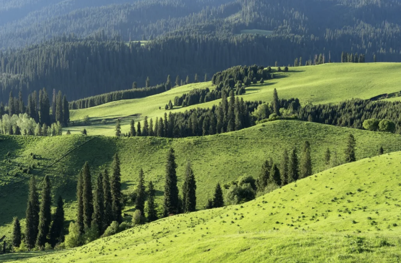 171703528.png image.png