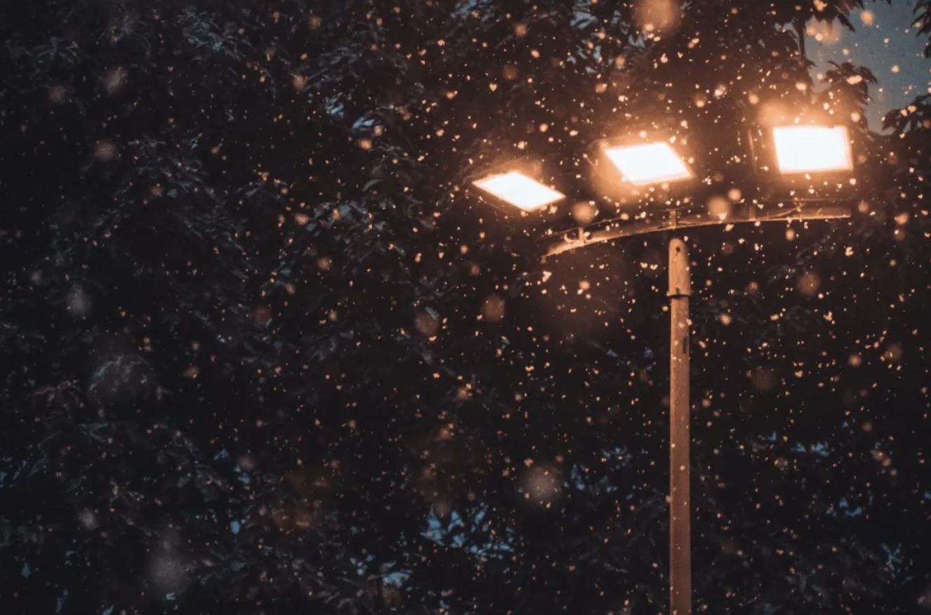 172940705.png image.png